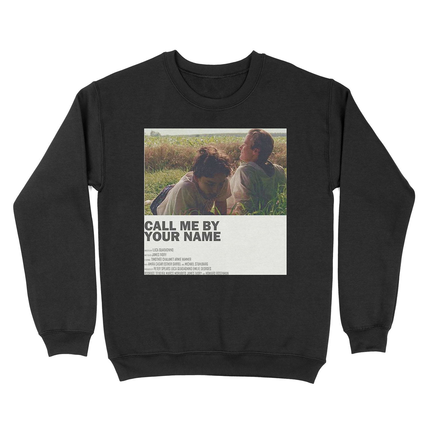 Call Me By Your Name Alternate Movie Unisex Crewneck Sweatshirt