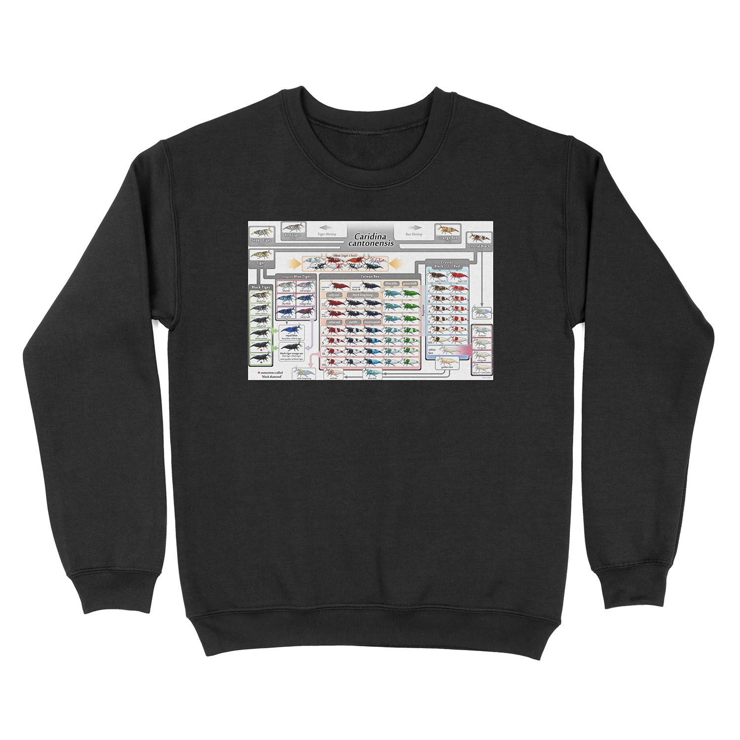 Caridina cantonensis Family Tree Unisex Crewneck Sweatshirt