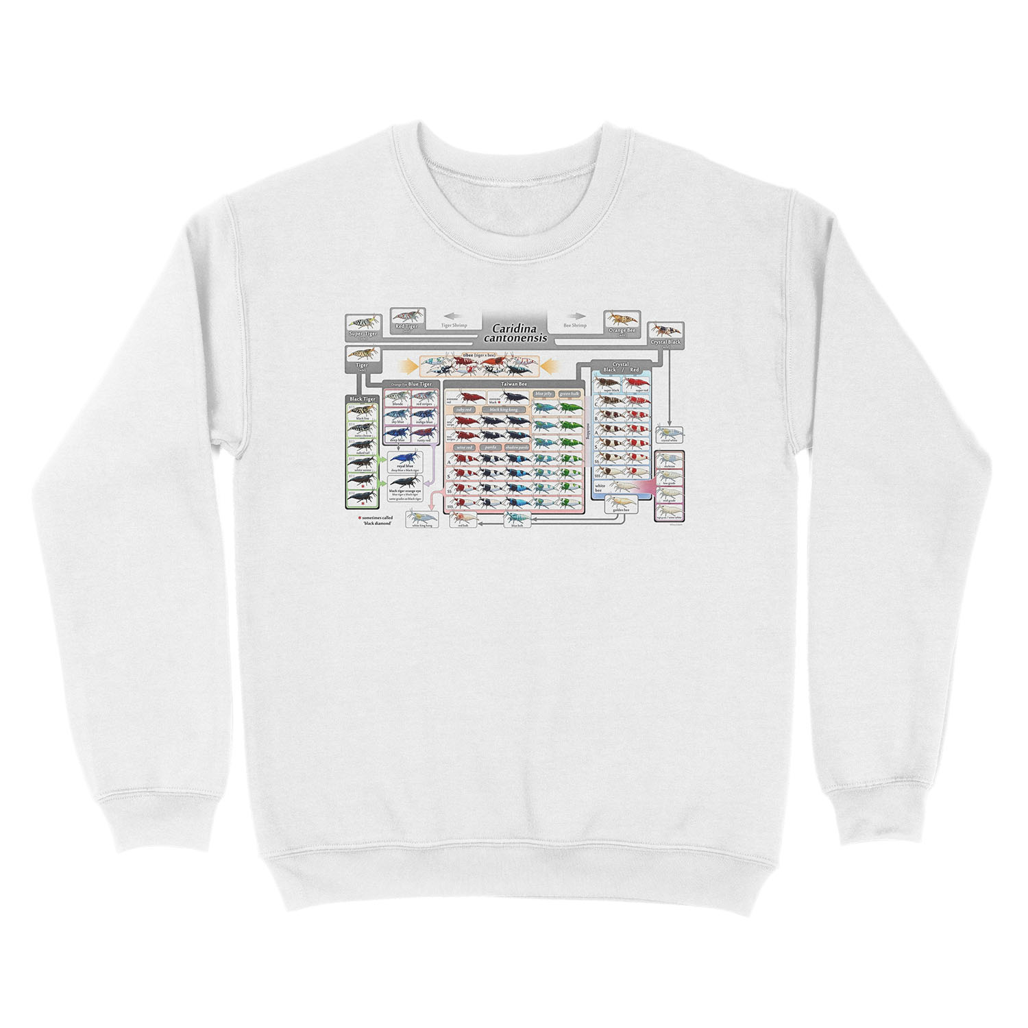 Caridina cantonensis Family Tree Unisex Crewneck Sweatshirt - Image 2
