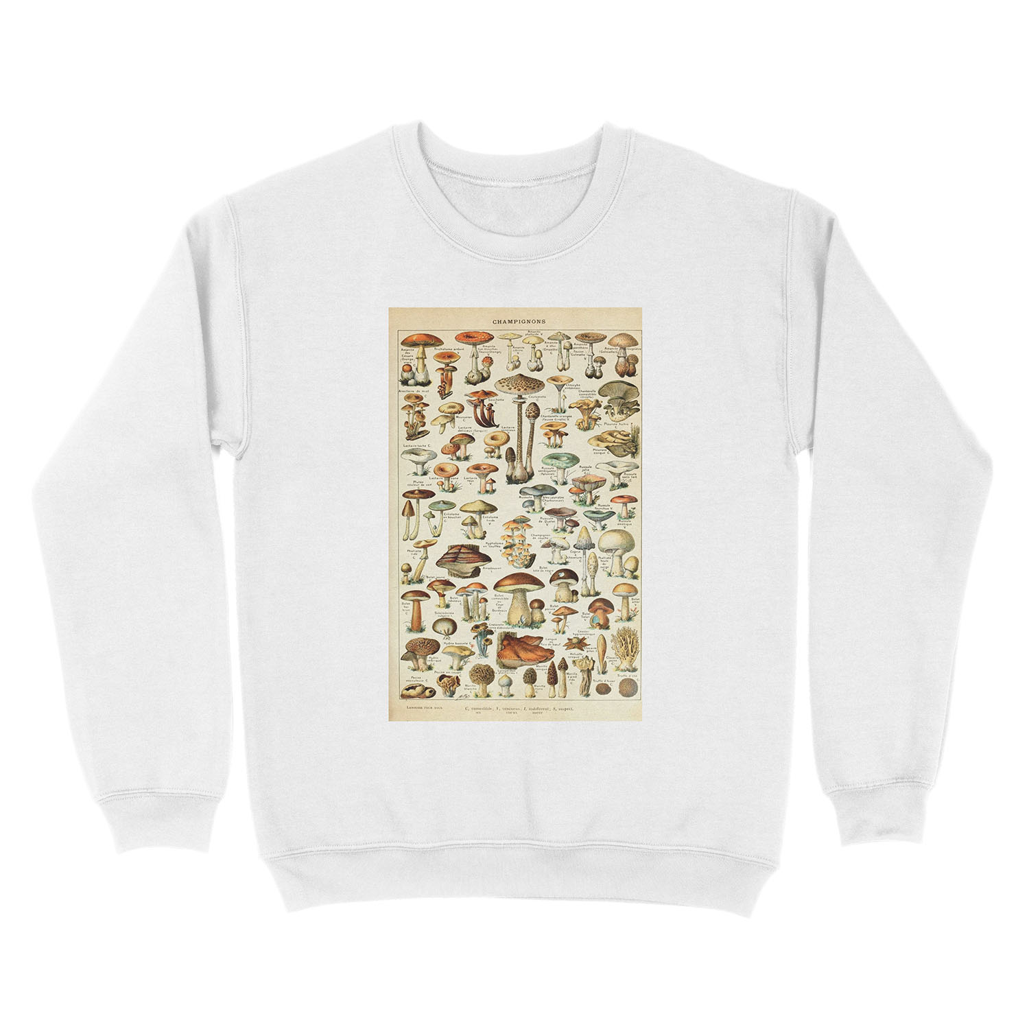 Champignon I Vintage French Mushroom Chart by Adolphe Millot Unisex Crewneck Sweatshirt - Image 2