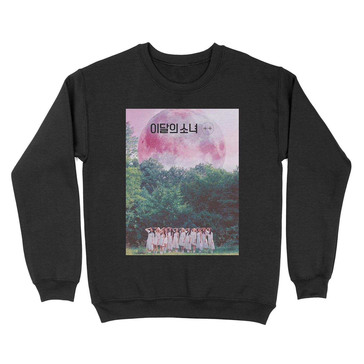 finally introducing: loona / 이달의 Unisex Crewneck Sweatshirt