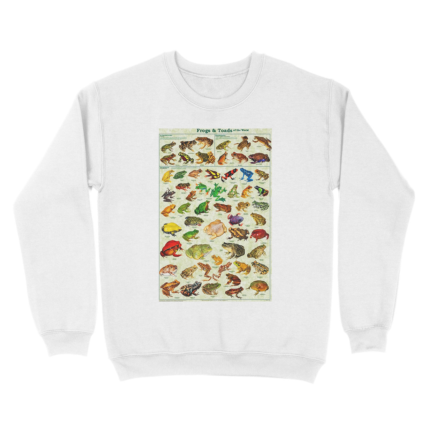 Most Relevant Frogs & Toads of The World Unisex Crewneck Sweatshirt - Image 2