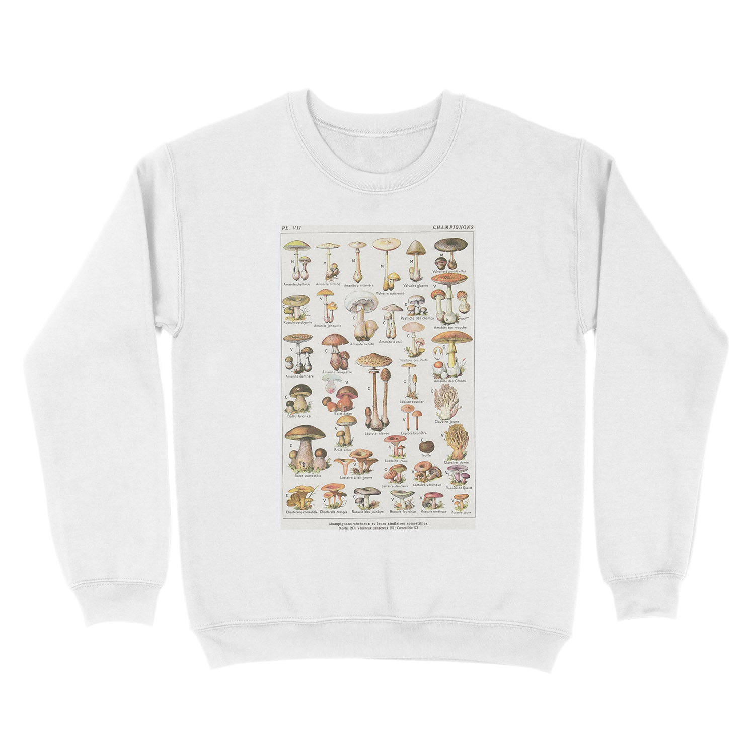 Mushrooms Unisex Crewneck Sweatshirt - Image 2