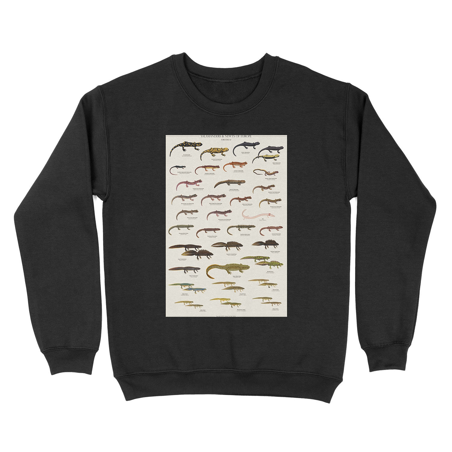 Salamanders & Newts of Europe Unisex Crewneck Sweatshirt