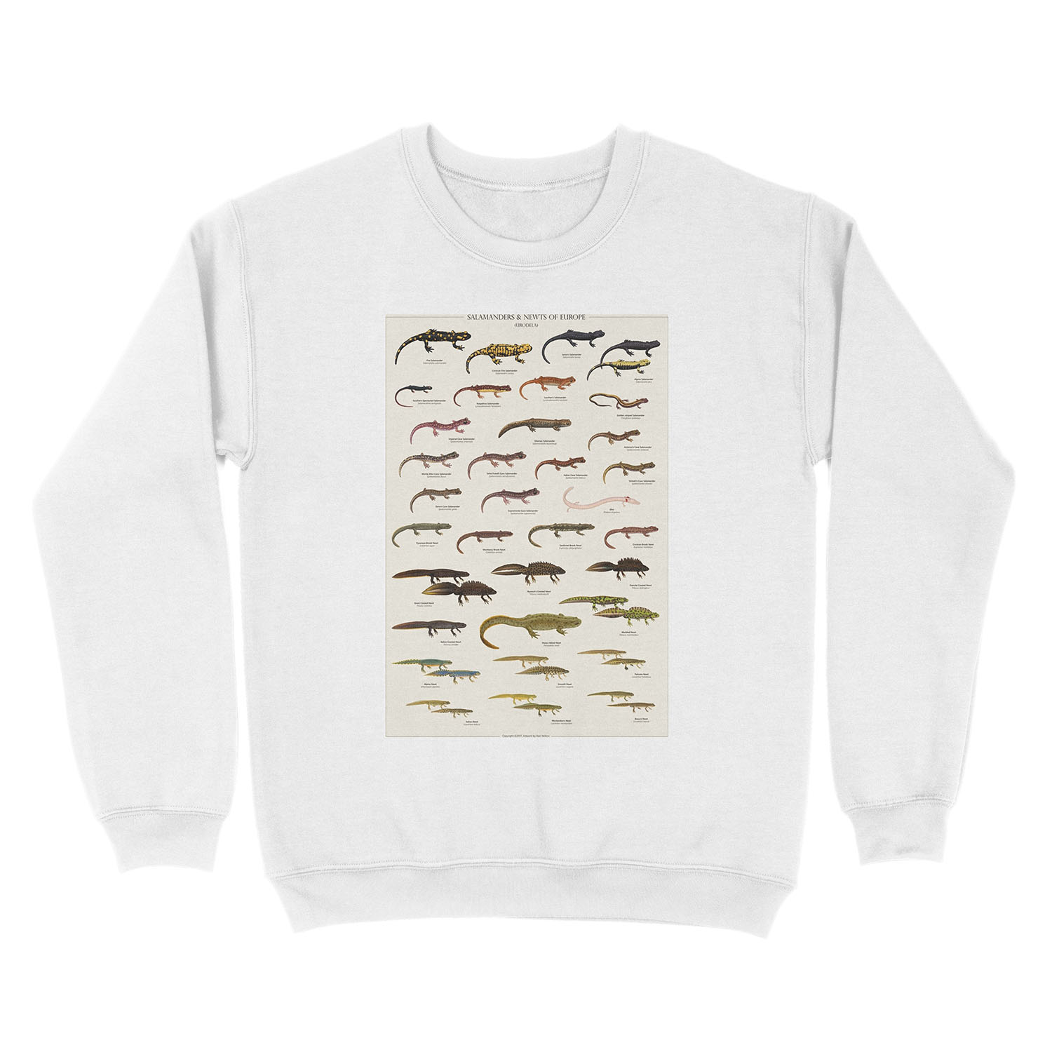 Salamanders & Newts of Europe Unisex Crewneck Sweatshirt - Image 2