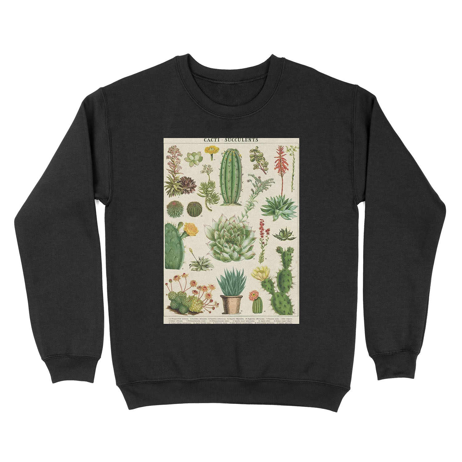succulents poster Unisex Crewneck Sweatshirt