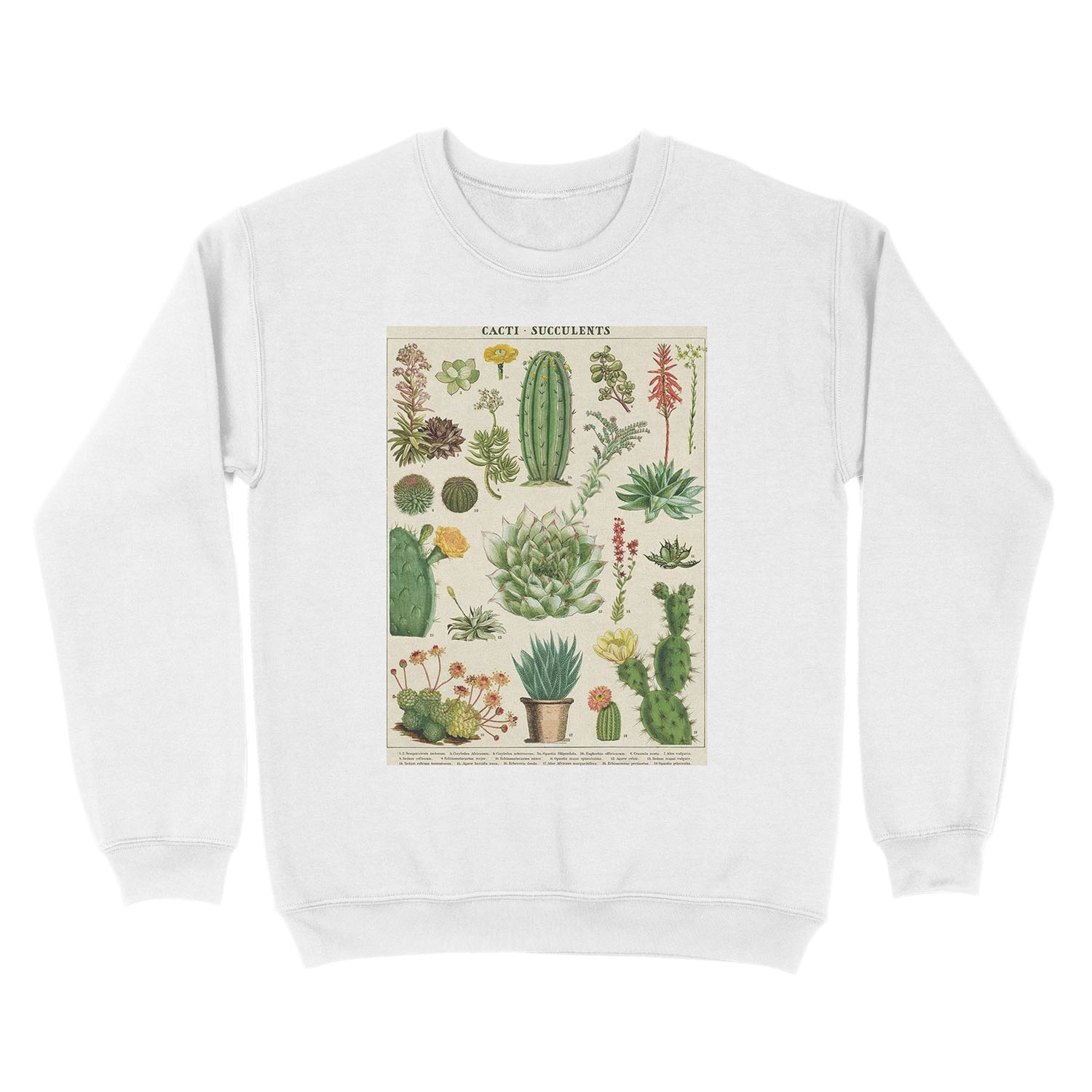 succulents poster Unisex Crewneck Sweatshirt - Image 2