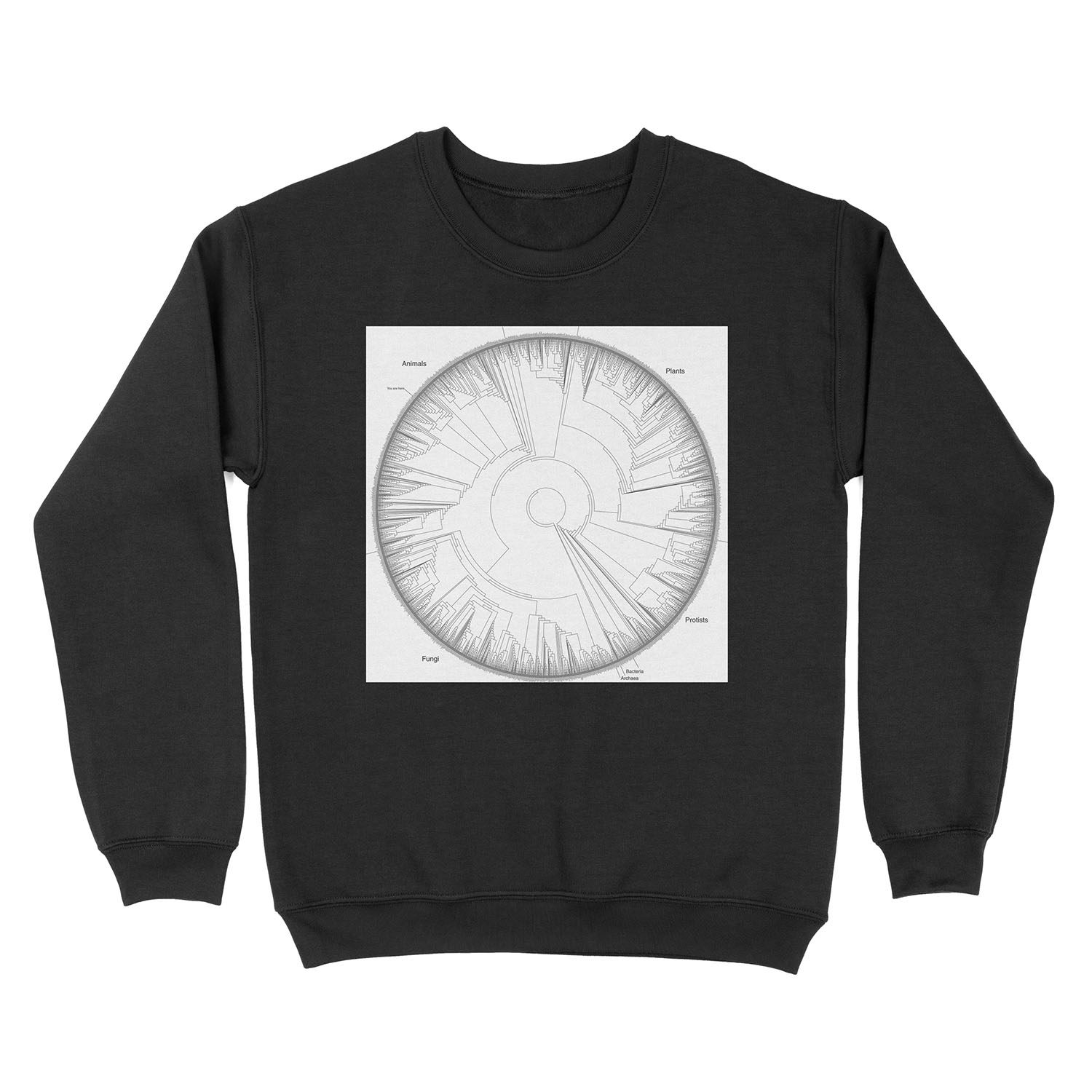 Tree of Life Hillis Plot Unisex Crewneck Sweatshirt
