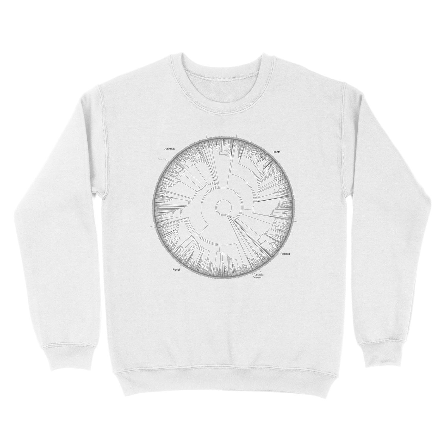 Tree of Life Hillis Plot Unisex Crewneck Sweatshirt - Image 2