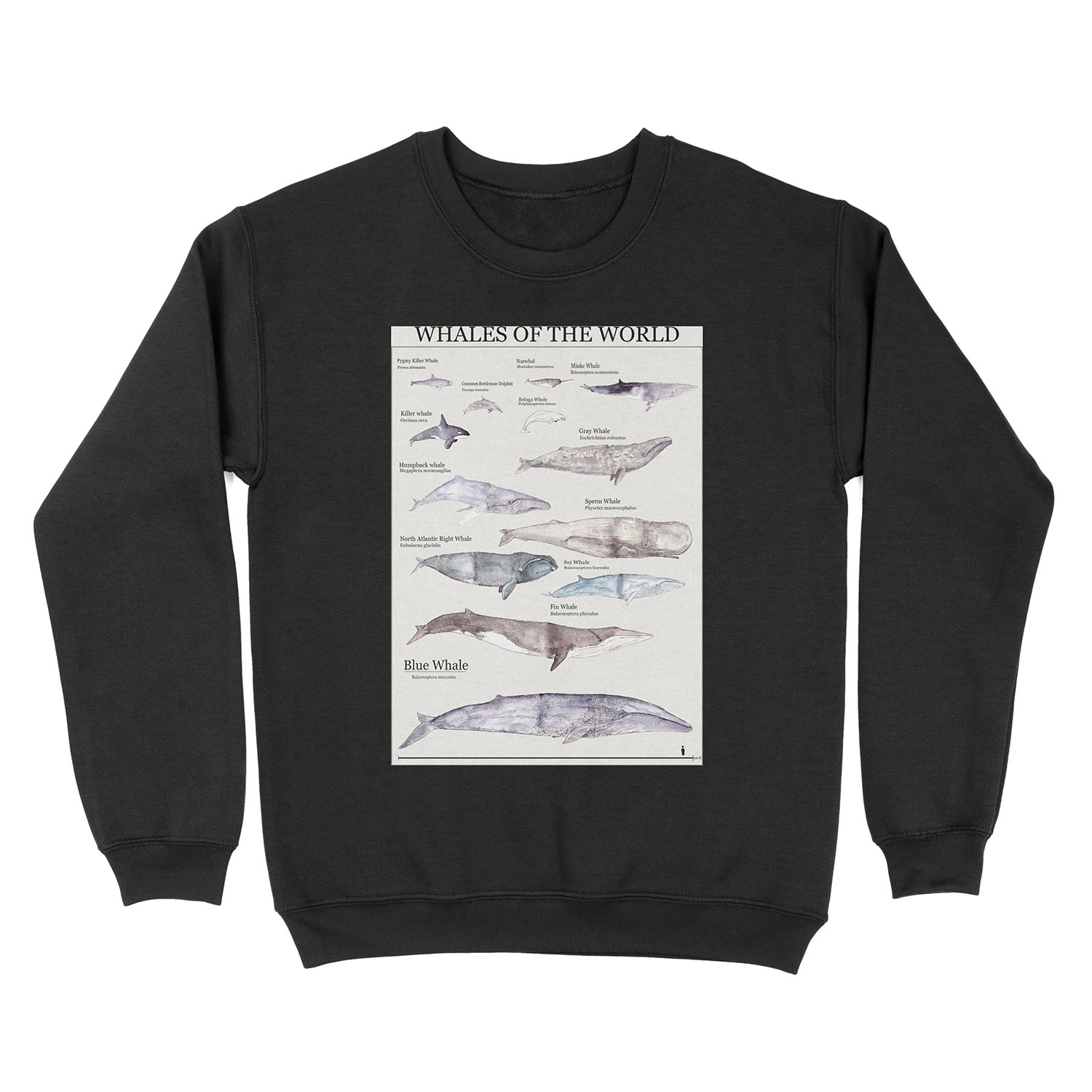 Whales of the World Unisex Crewneck Sweatshirt