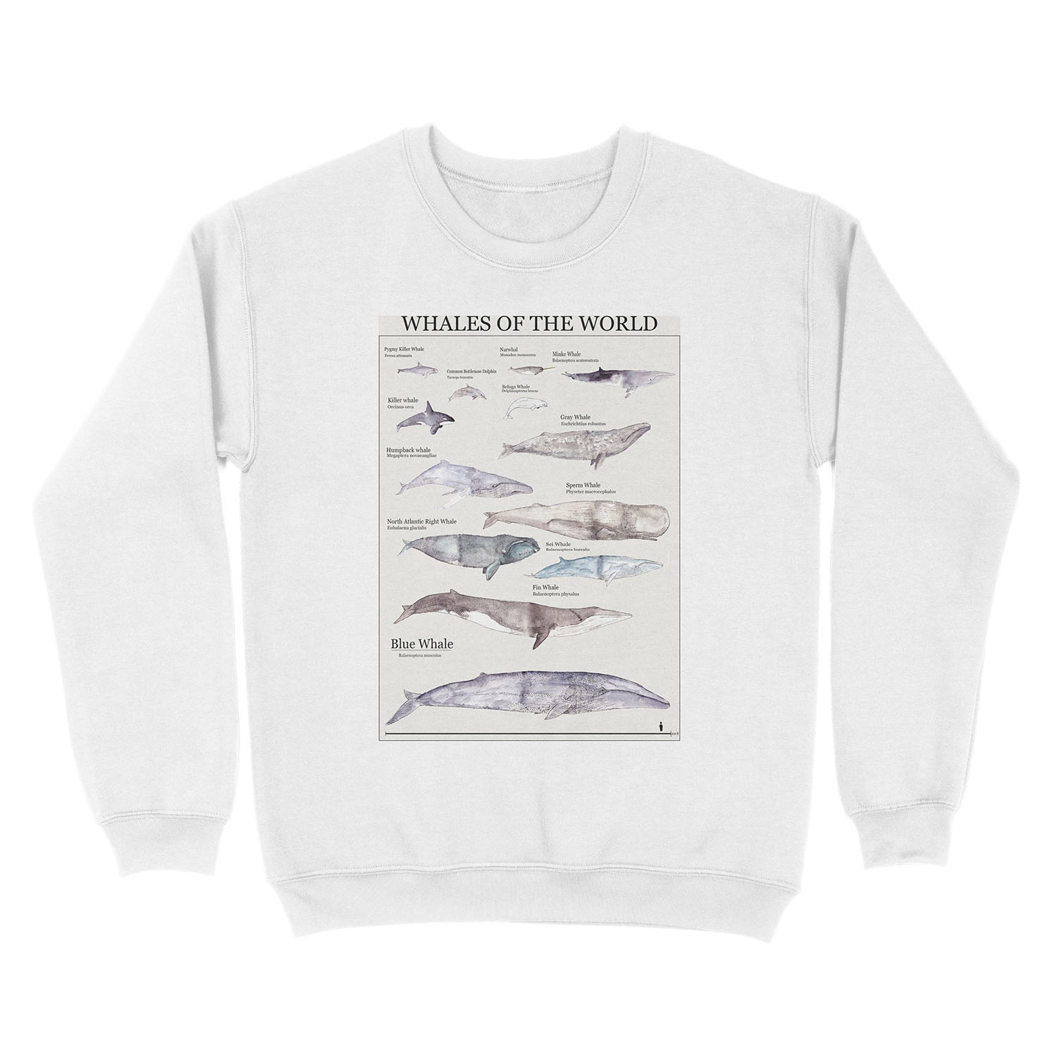 Whales of the World Unisex Crewneck Sweatshirt - Image 2