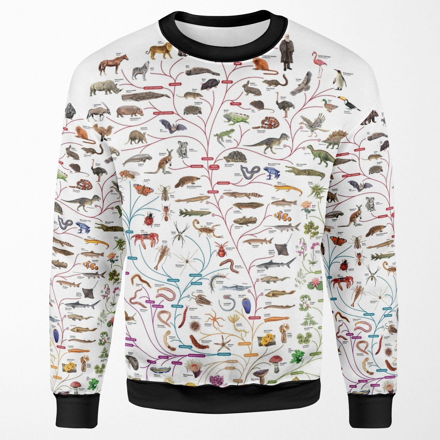 Darwinian Evolution Tree Of Life All-over-print Unisex Sweatshirt