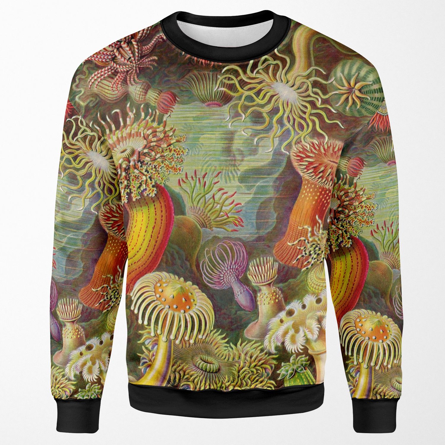 Sea Anemone Ernst Haeckel All-over-print Unisex Sweatshirt