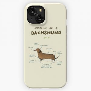 Anatomy Of A Dachshund iPhone 15 Slim Phone Case Cover