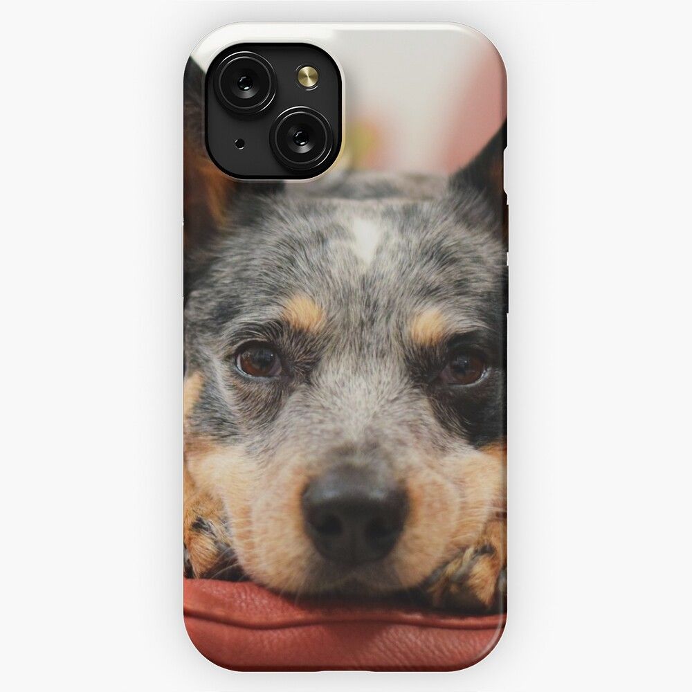 Australian Cattle Dog iPhone 15 Slim Phone Case Cover