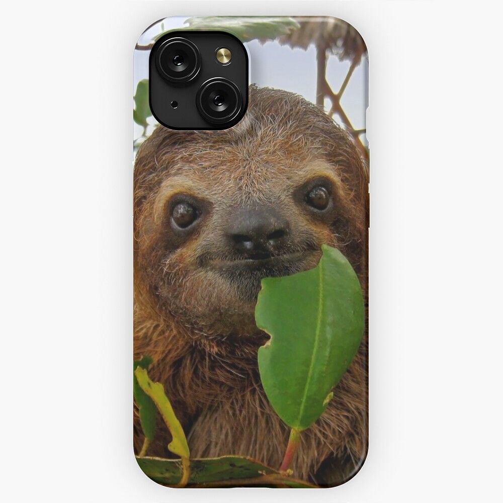 Baby Brown Throated Three Toed Sloth iPhone 15 Slim Phone Case Cover