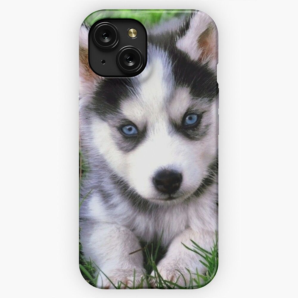 Beautiful Puppy Husky iPhone 15 Slim Phone Case Cover