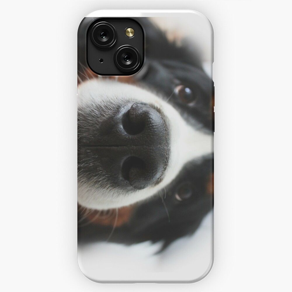 Bernese Mountain Dog iPhone 15 Slim Phone Case Cover