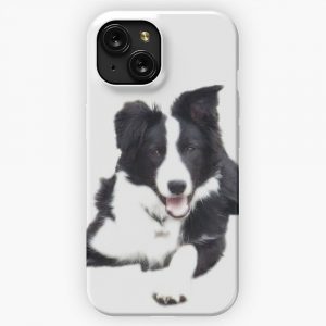 Border Collie On A White Background iPhone 15 Slim Phone Case Cover