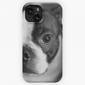 Boston Terrier 2 iPhone 15 Slim Phone Case Cover