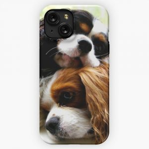 Brothers Cavaliers iPhone 15 Slim Phone Case Cover