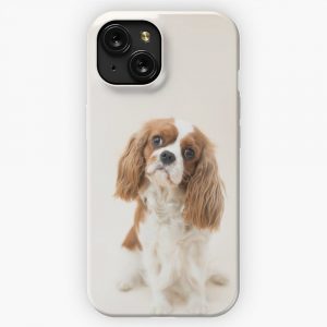 Cavalier King Charles Spaniel Blenheim 2 iPhone 15 Slim Phone Case Cover