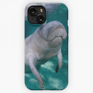 Contact iPhone 15 Slim Phone Case Cover