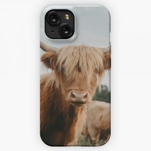 Curious Highland Cow iPhone 15 Slim Phone Case Cover