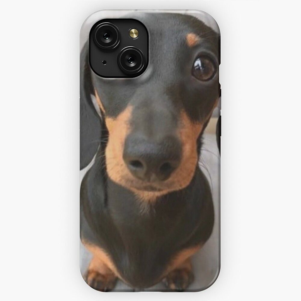 Dachshund Dog Photo Portrait Sweet Puppy iPhone 15 Slim Phone Case Cover