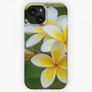 Frangipani Blossoms iPhone 15 Slim Phone Case Cover