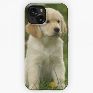 Golden Retriever Puppy iPhone 15 Slim Phone Case Cover