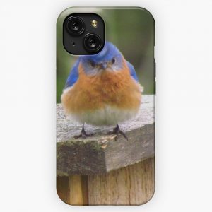 Grumpy Bluebird Original Photograph iPhone 15 Slim Phone Case Cover