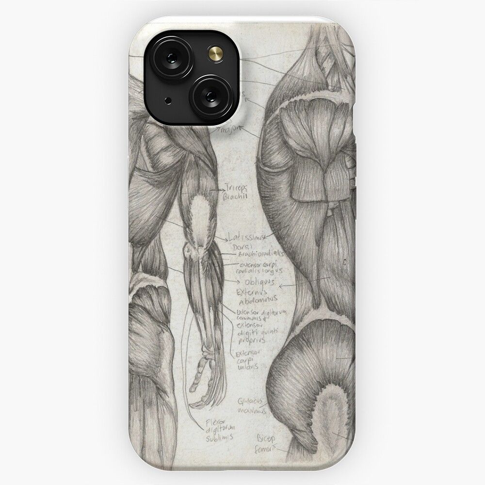 Human Anatomy 1 iPhone 15 Slim Phone Case Cover