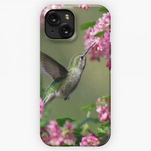 Hummingbird iPhone 15 Slim Phone Case Cover