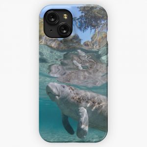 In The Forest iPhone 15 Slim Phone Case Cover