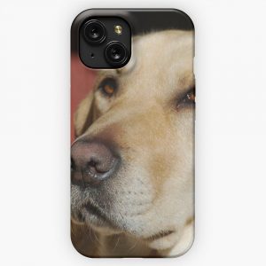 Labrador iPhone 15 Slim Phone Case Cover