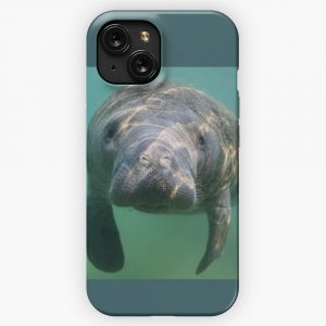 Manatee 3 iPhone 15 Slim Phone Case Cover