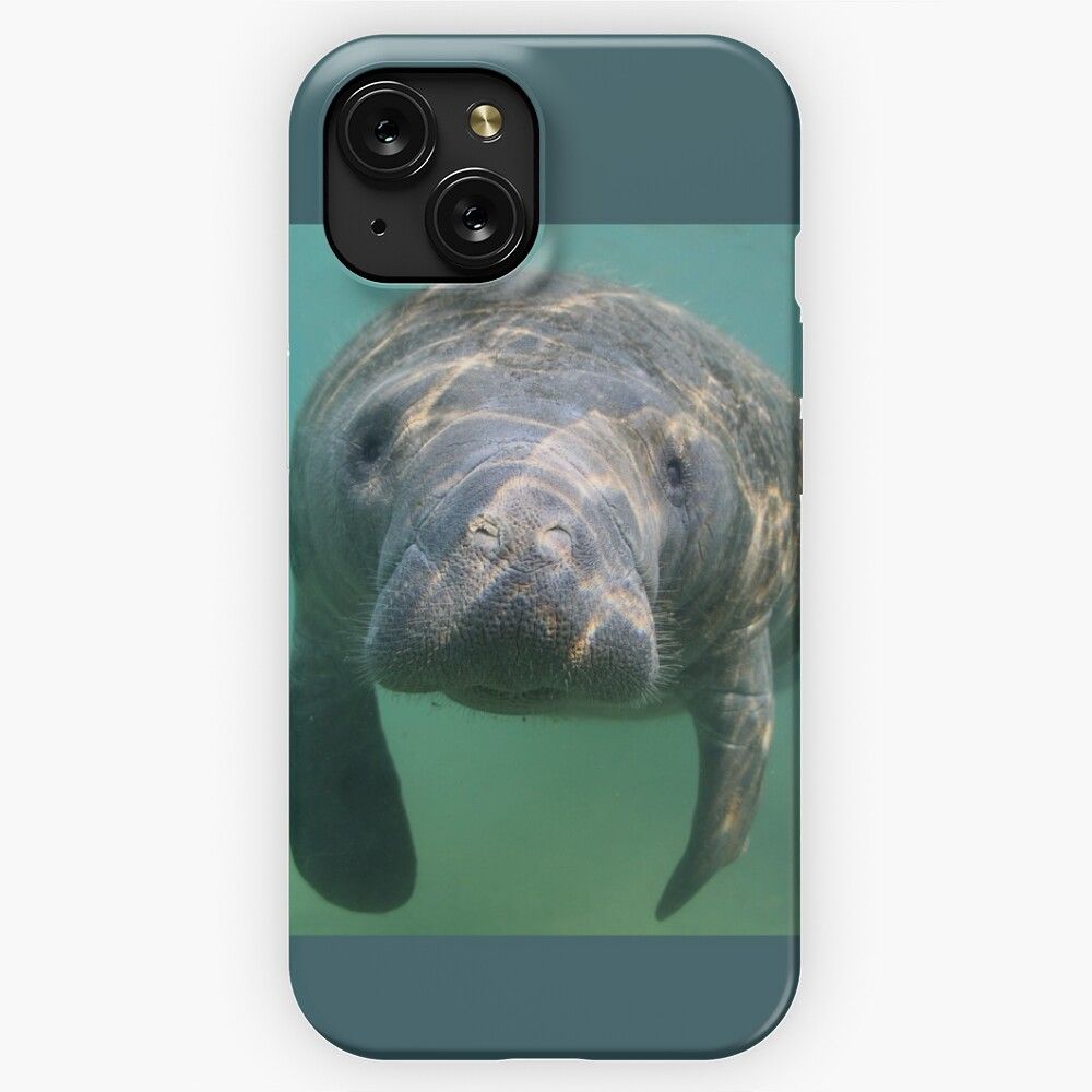 Manatee 3 iPhone 15 Slim Phone Case Cover