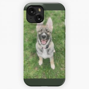 Nala With Original Background iPhone 15 Slim Phone Case Cover